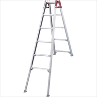 ハセガワ　階段用脚部伸縮式アルミはしご兼用脚立　ＲＹＥ型　６段（１０２０５）